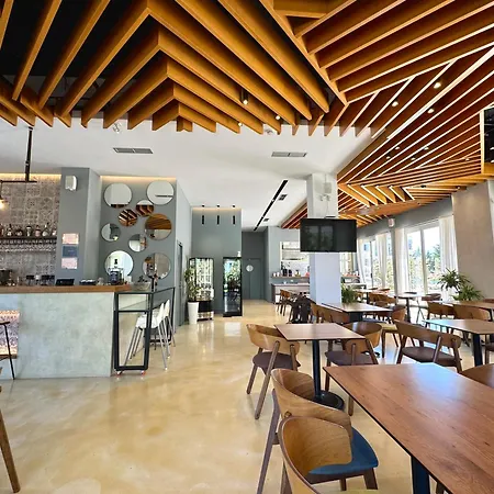 Bel Ami 奥里库姆